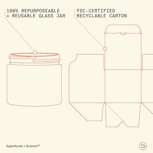 Youth To The People Superberry Hydrate + Glow Dream Body Butter