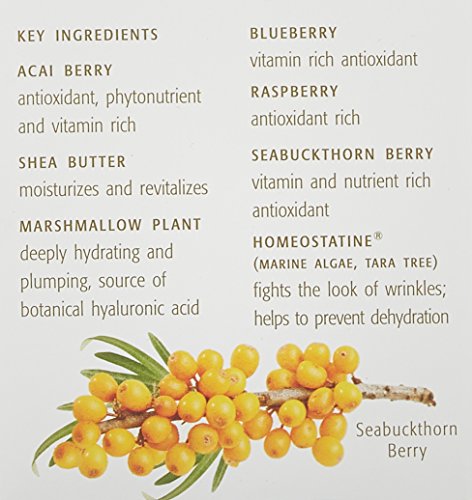 Eminence Organic Skincare Firm Skin Acai Moisturizer with Hyaluronic Acid