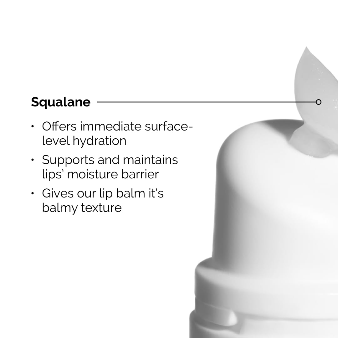 The Ordinary Squalane + Amino Acids Hydrating Lip Balm
