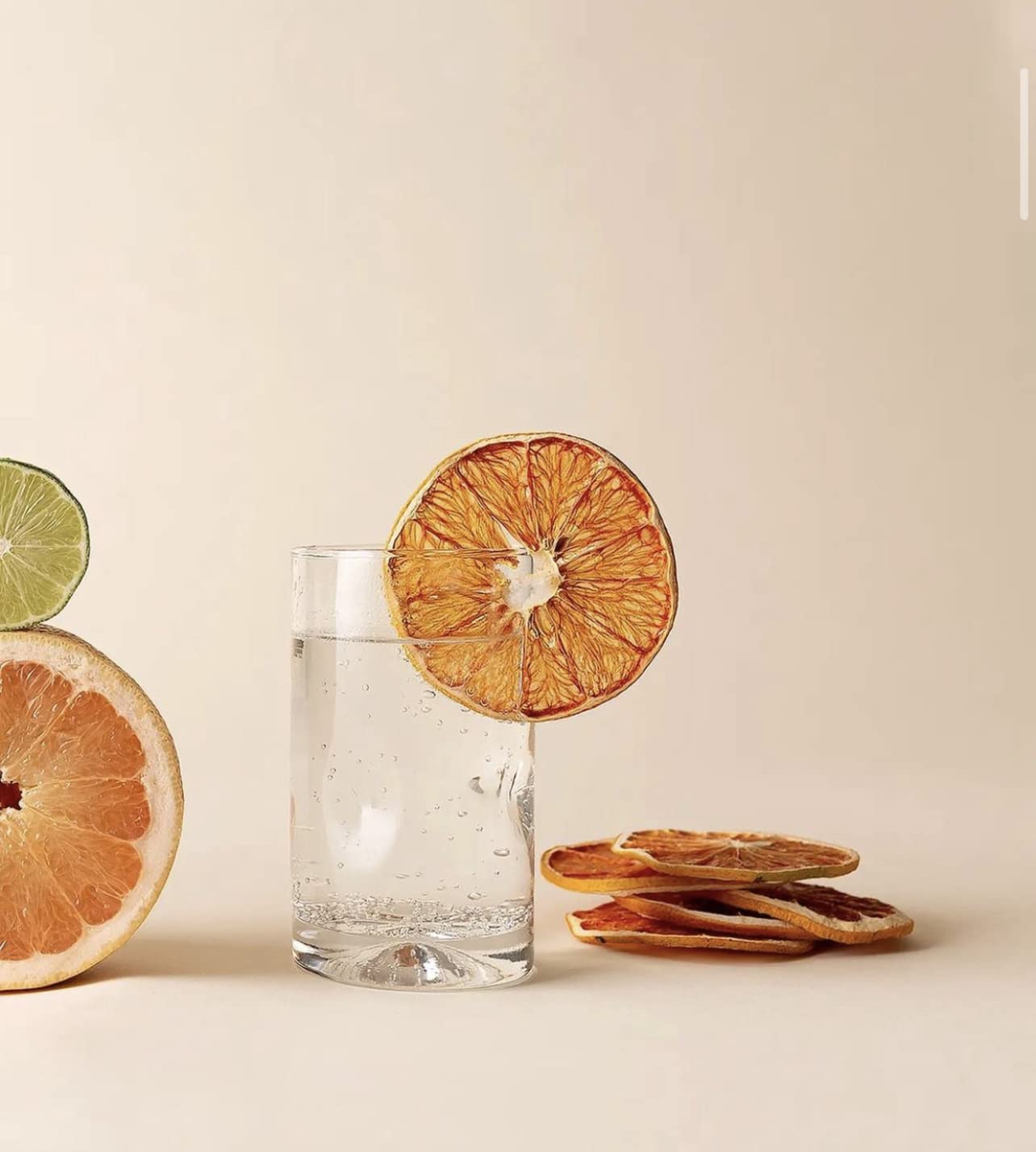 Dehydrated Grapefruit Slices