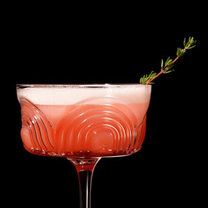 Viski Beau Cocktail Coupe Glasses Set of 2