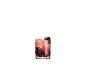 Riedel Glassware Double Rocks Set of 4