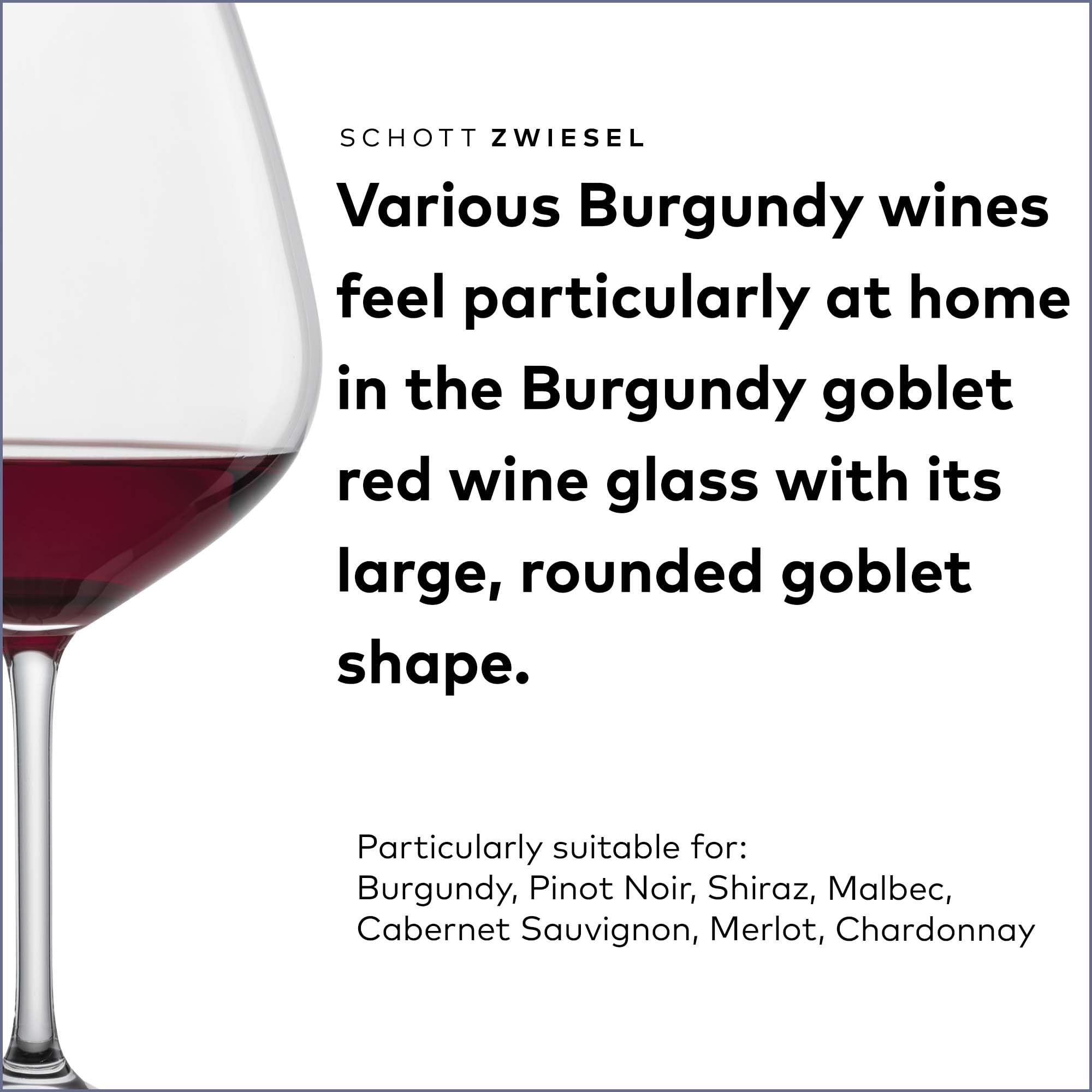 ZWIESEL GLAS Forté Burgundy Goblet - Set of 6
