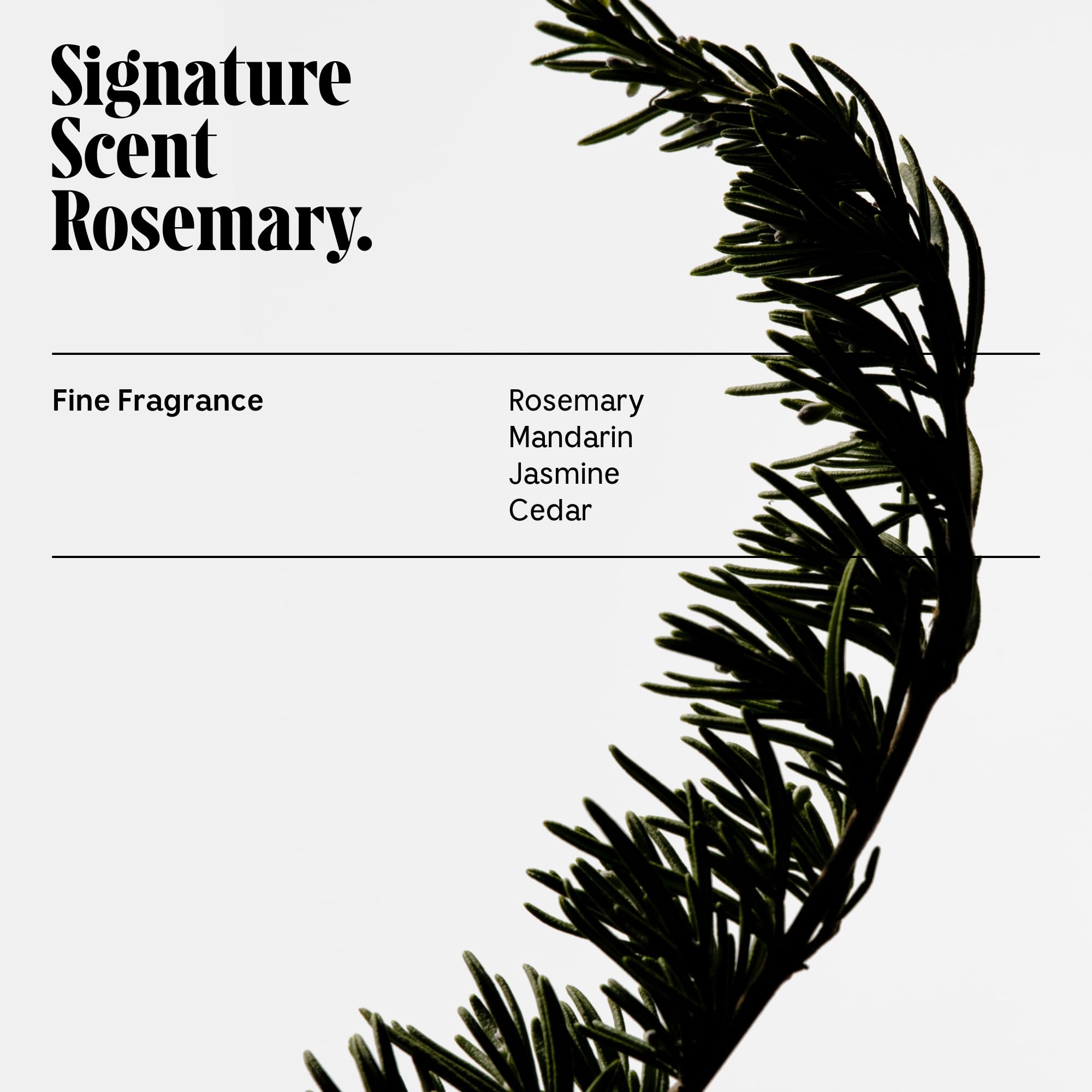 Nécessaire Rosemary Conditioner