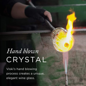 Viski Raye Angled Burgundy Glasses Set of 2
