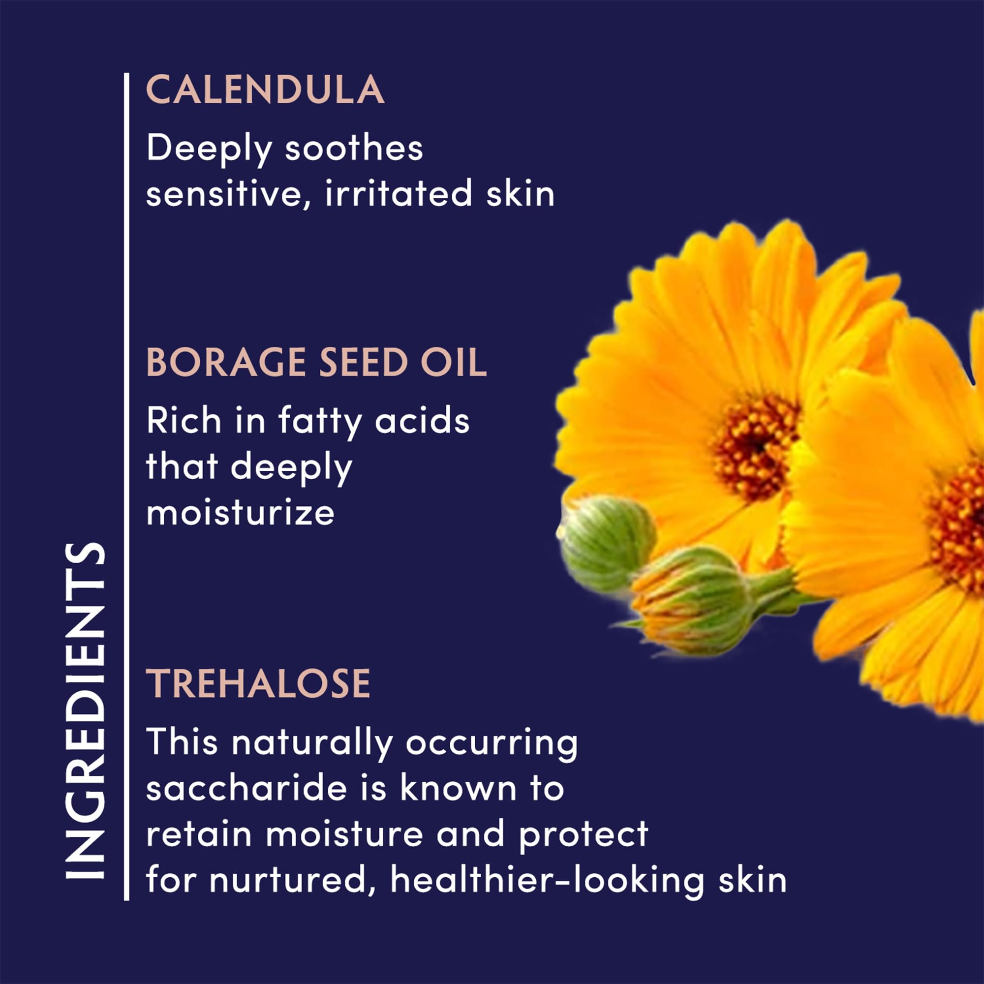 Naturopathica Calendula Essential Hydrating Cream