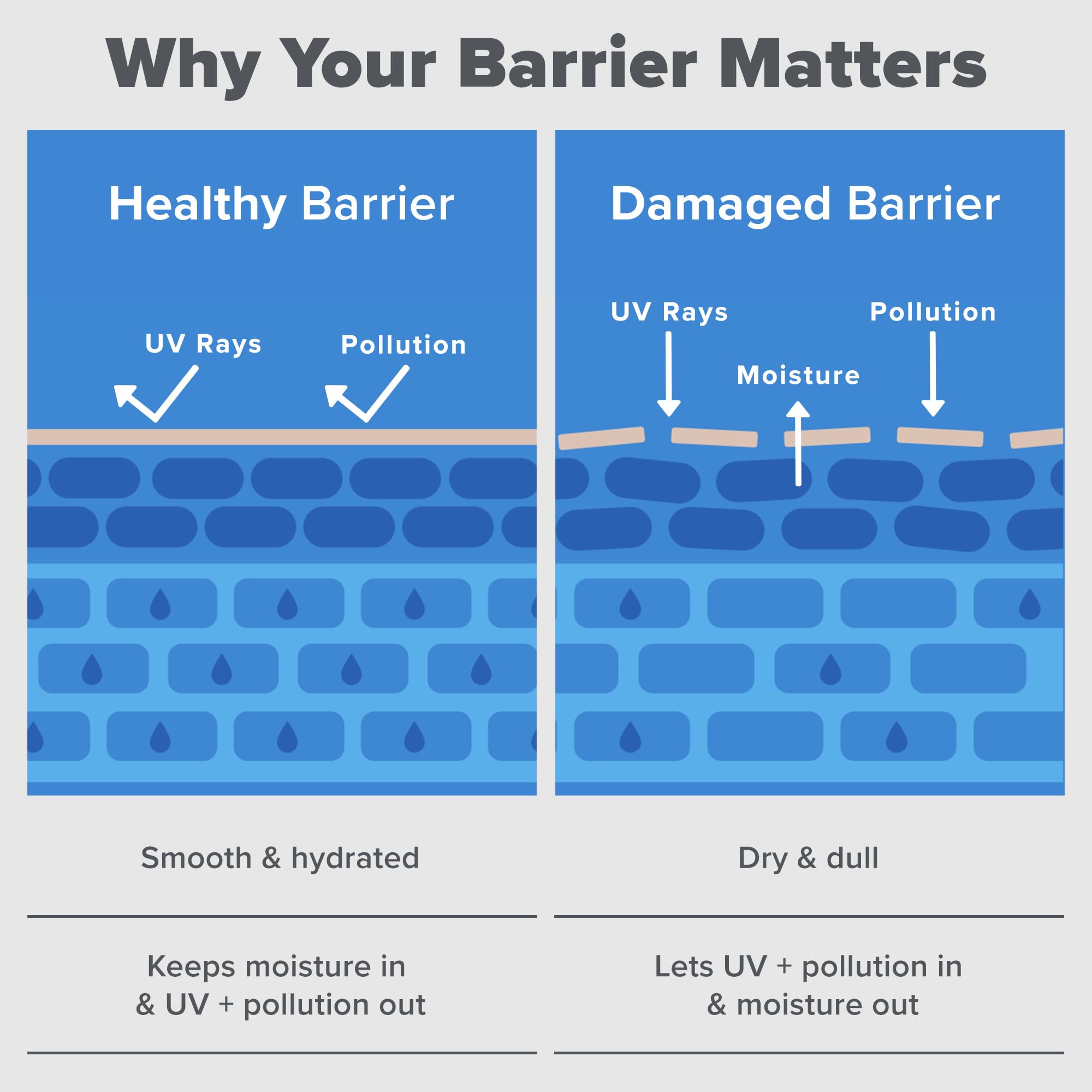 Paula's Choice RESIST Barrier Repair Advanced Moisturizer