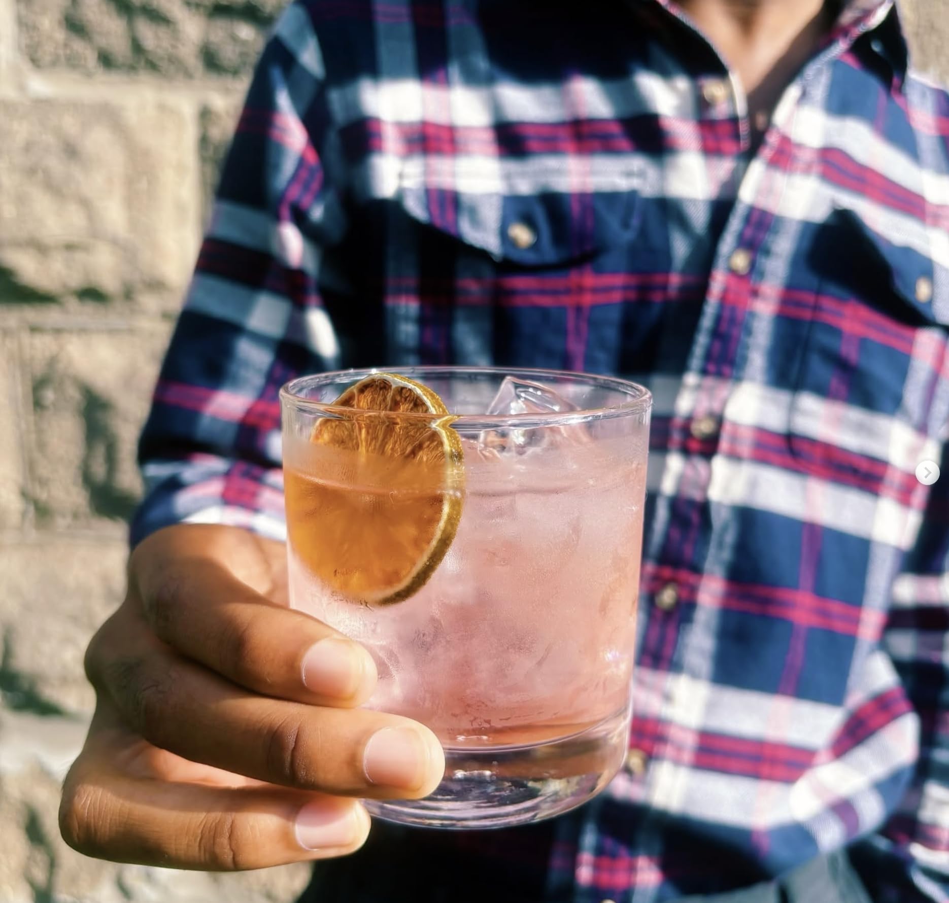 3-Pack Dehydrated Orange, Lemon, Lime