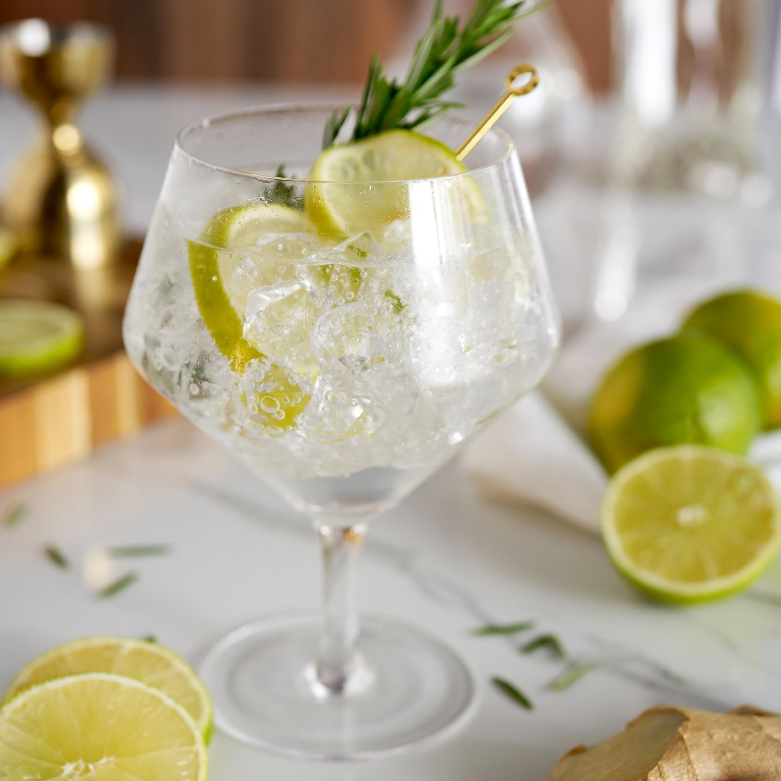 Viski Angled Stemmed Gin & Tonic Glasses