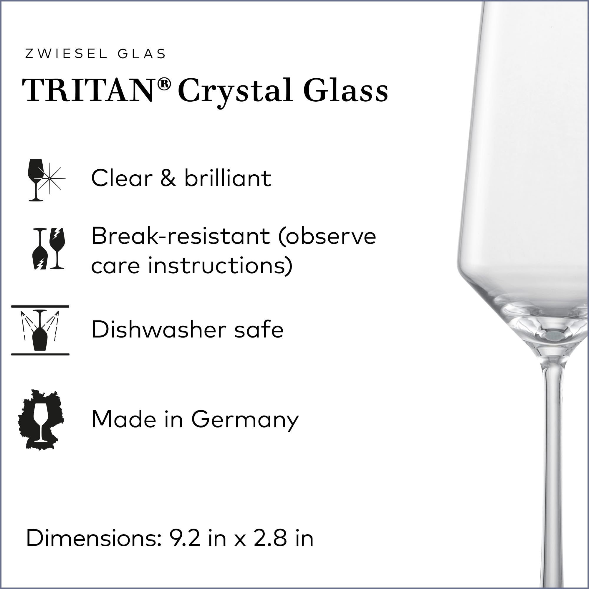 ZWIESEL GLAS Pure Champagne Glass (Set of 6)
