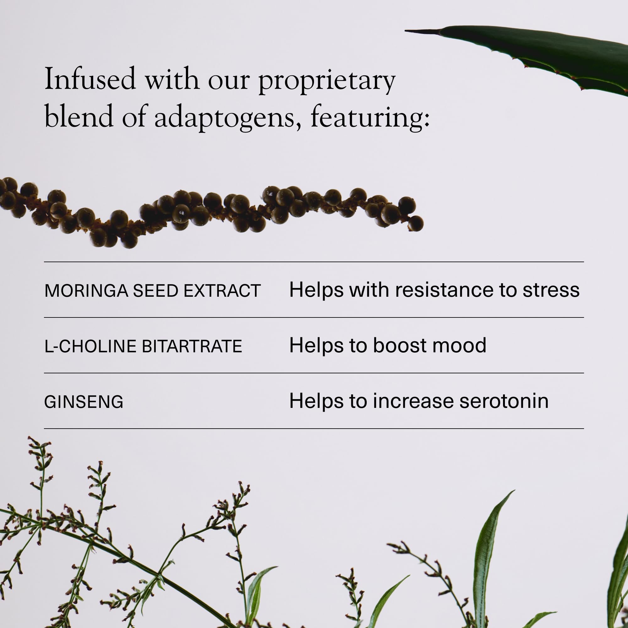 Aplós ARISE Non-Alcoholic Adaptogen-Infused Beverage, Tequila Style Alternative