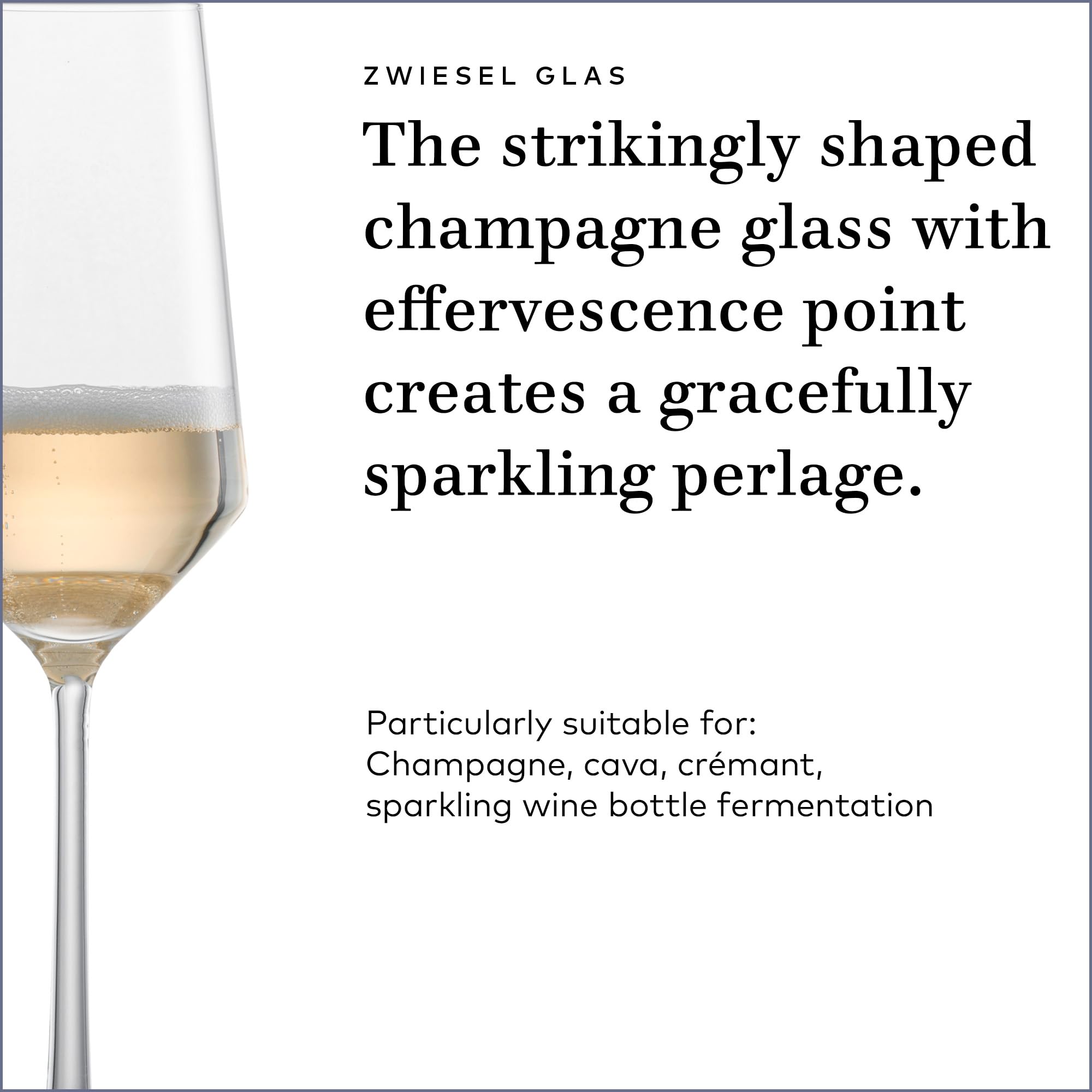 ZWIESEL GLAS Pure Champagne Glass (Set of 6)