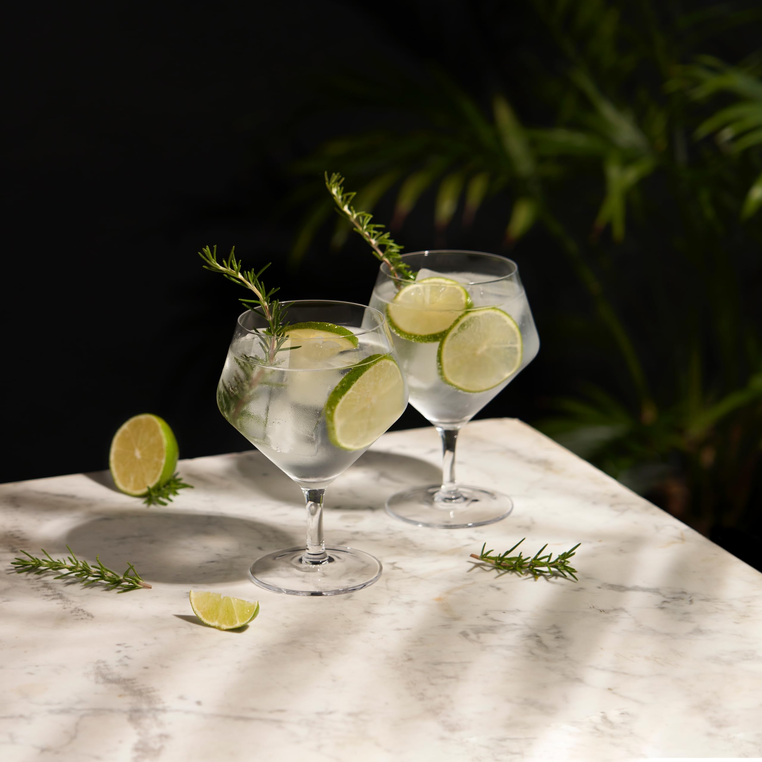 Viski Angled Stemmed Gin & Tonic Glasses