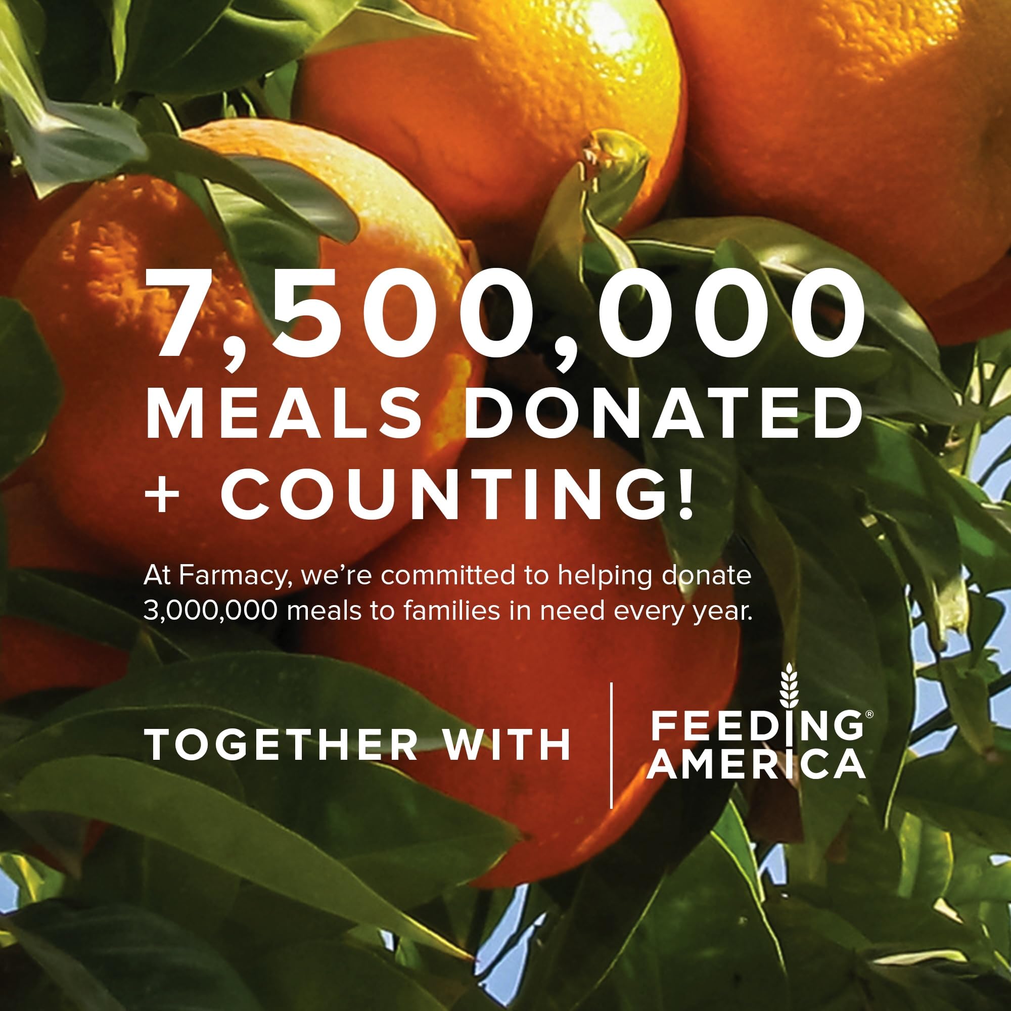 Farmacy Hyaluronic Acid Serum for Face