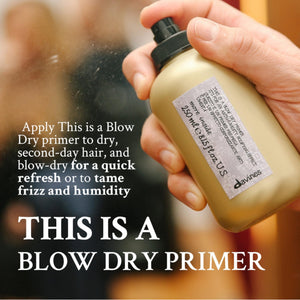 Davines This is a Primer