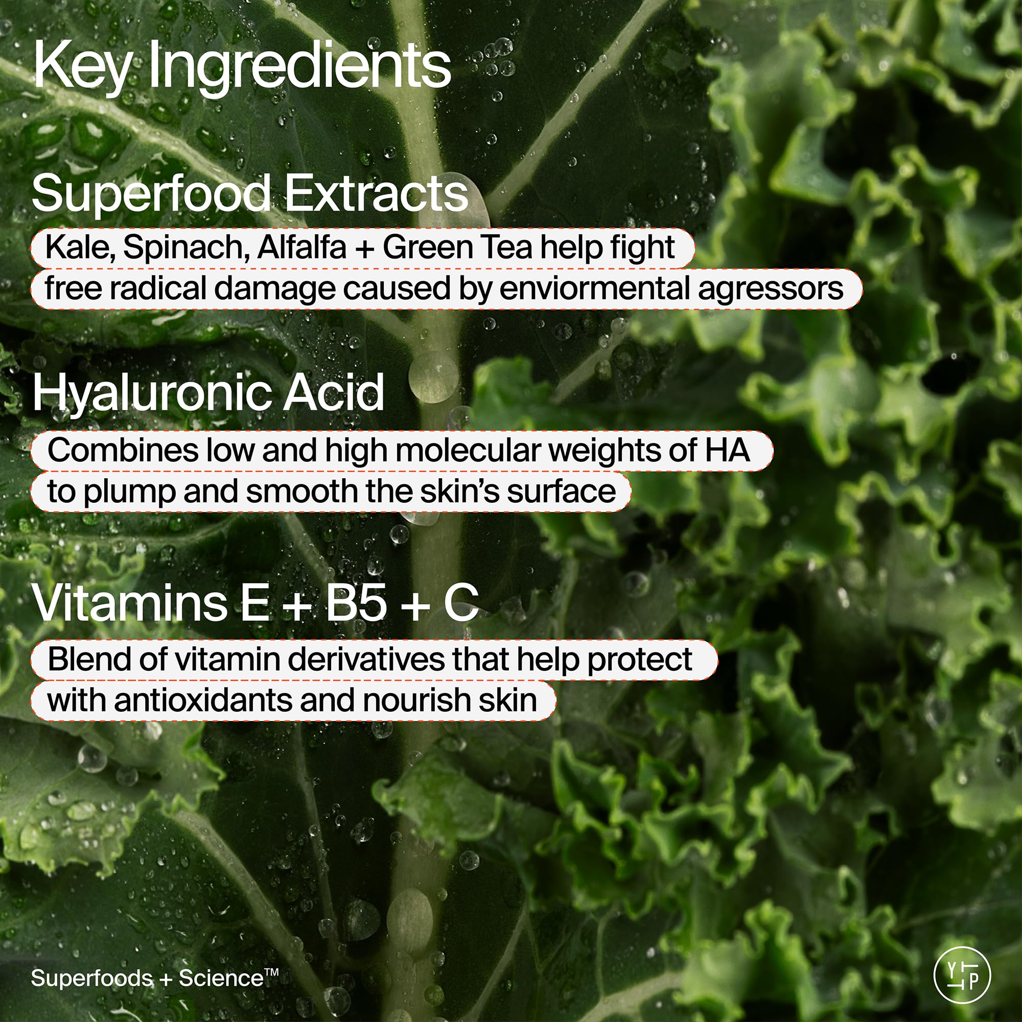 Youth To The People Superfood Air-Whip Moisture Cream