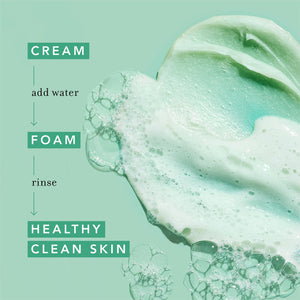 Farmacy Foaming Face Wash with moringa