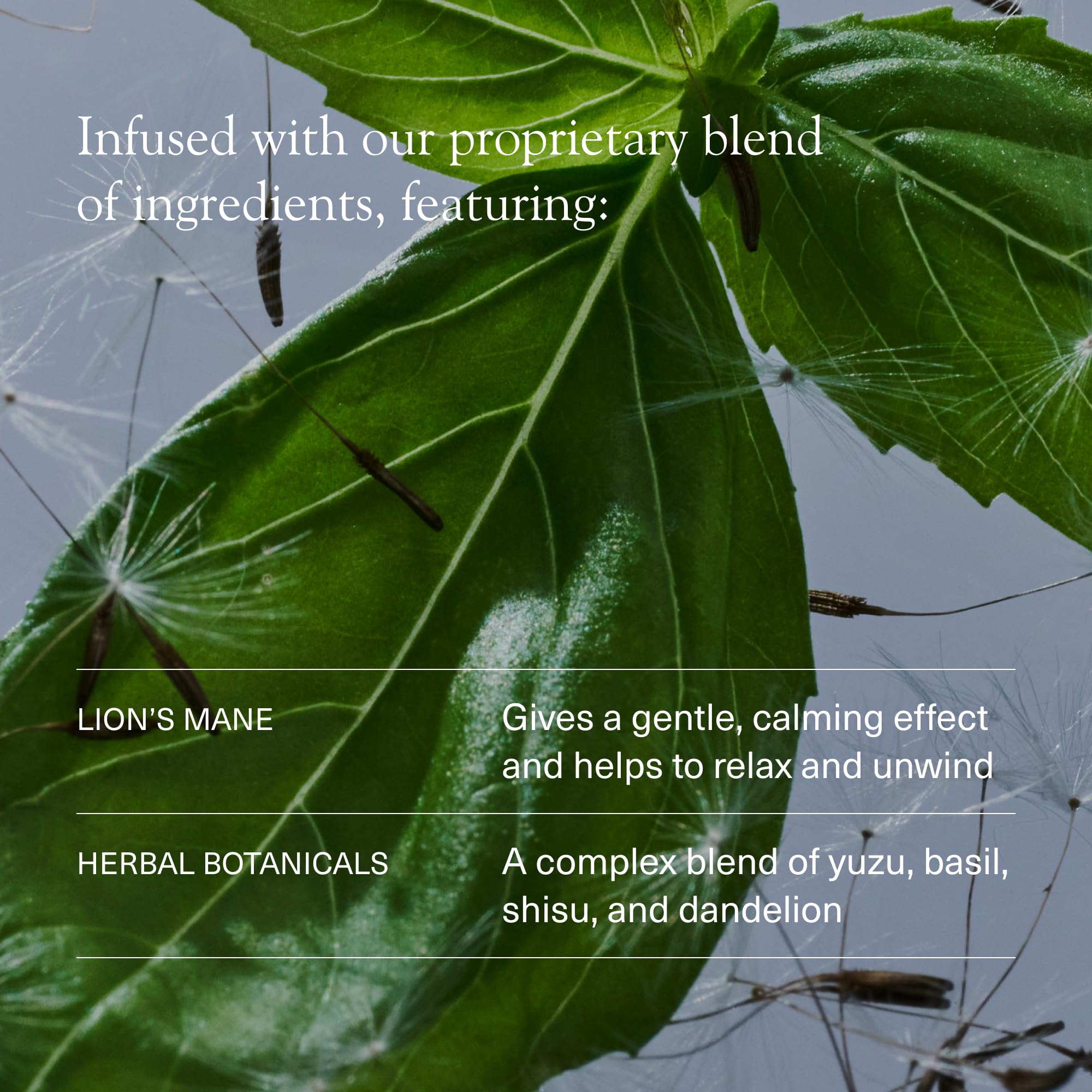 Aplós Ease Non Alcoholic Drink - Lion's Mane-Infused Calming Beverage