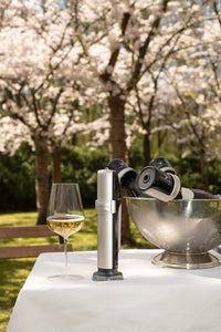 Coravin Sparkling Wine Preservation System