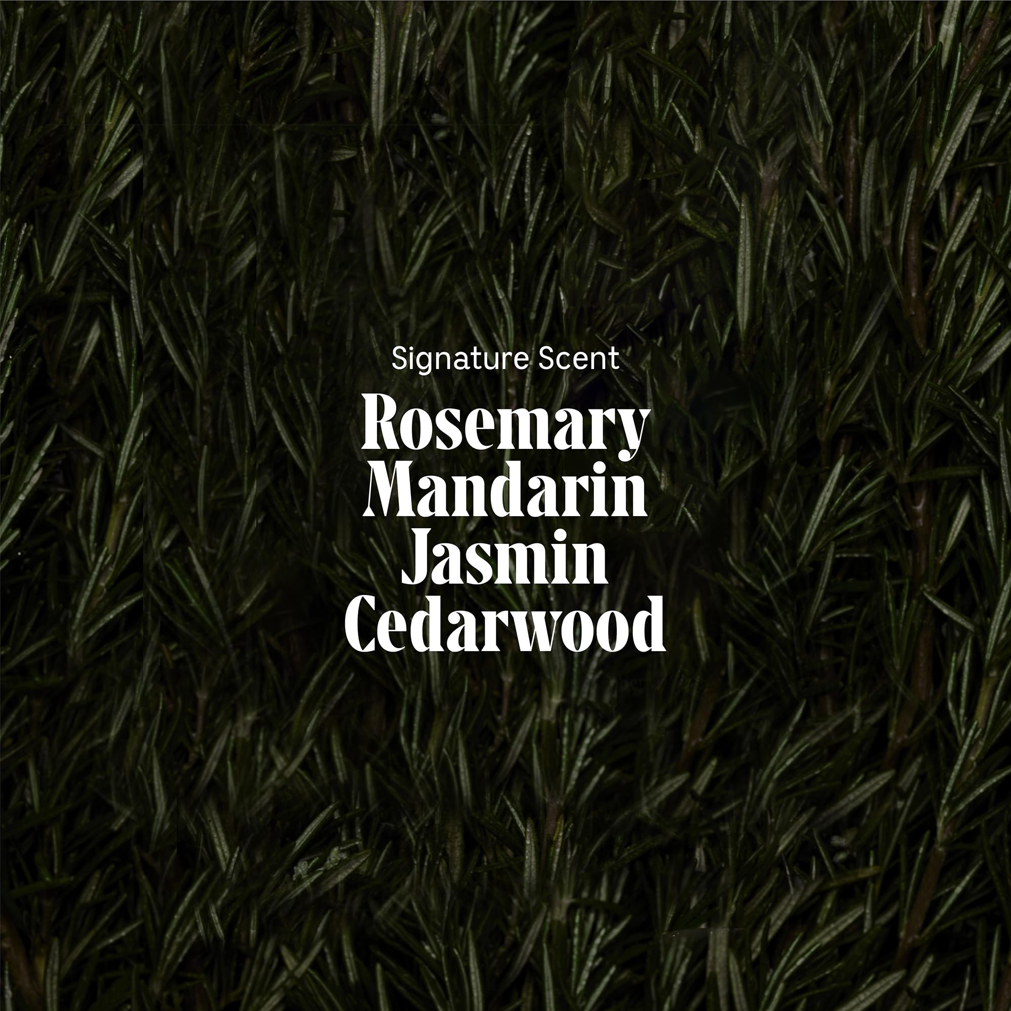 Nécessaire Rosemary Hair Duo | Multi-Protien Strengthening Shampoo + Conditioner