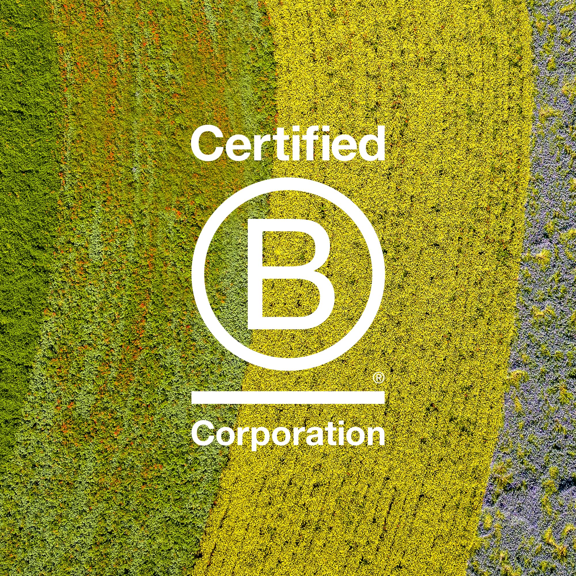 Davines This is a Primer